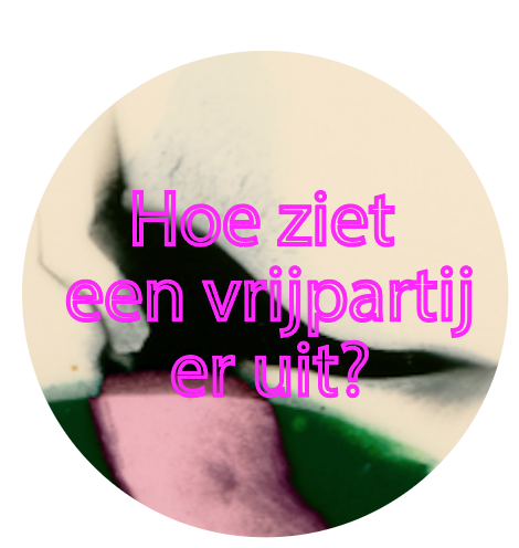 Hoe ziet een vrijpartij eruit?